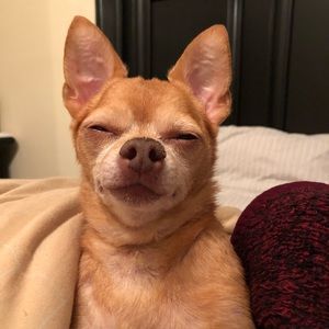 Meet your Posher, Juan